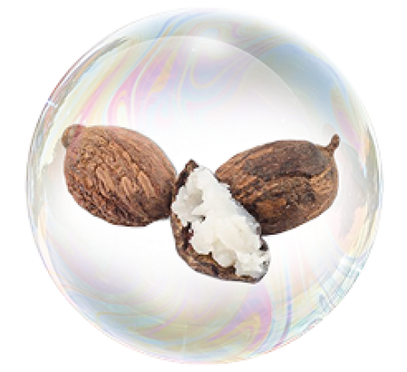 Shea butter